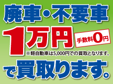 お車購入から廃車・不要車の処分まで何でもご相談ください。