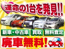 新車・中古車販売　買取・無料査定　廃車無料！当店にご相談下さい！